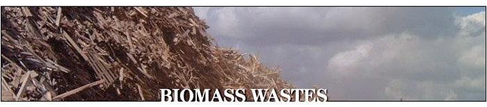 Biomass Wastes