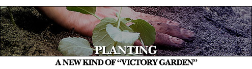 Planting a New Kind of Victory Garden" 