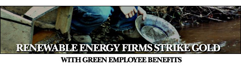 Renewable Energy Firms Strike Gold with Green Employee Benefits