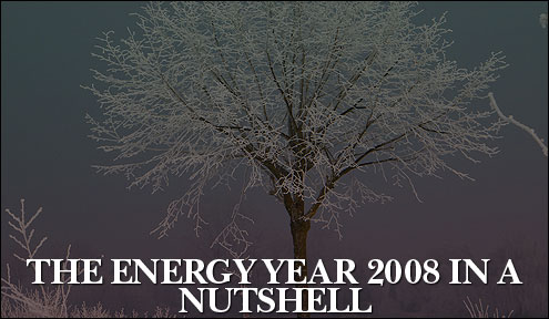 The Energy Year 2008 In A Nutshell