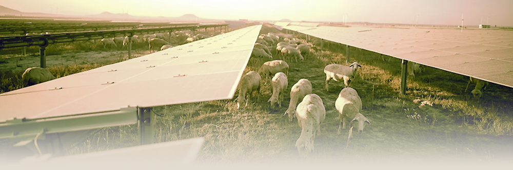 Karapınar Solar Power Plant landscape